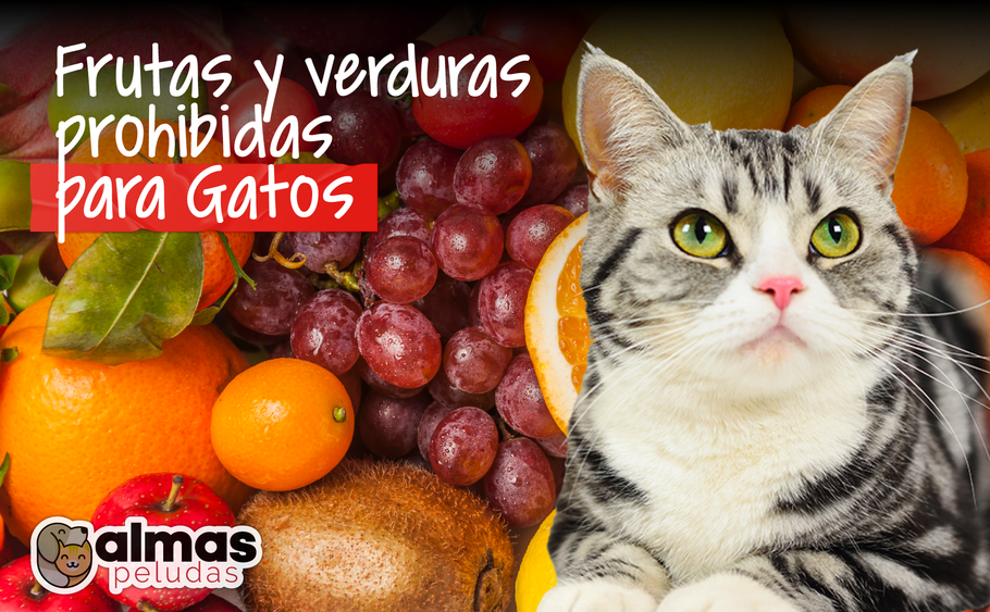 Frutas y verduras prohibidas para los gatos