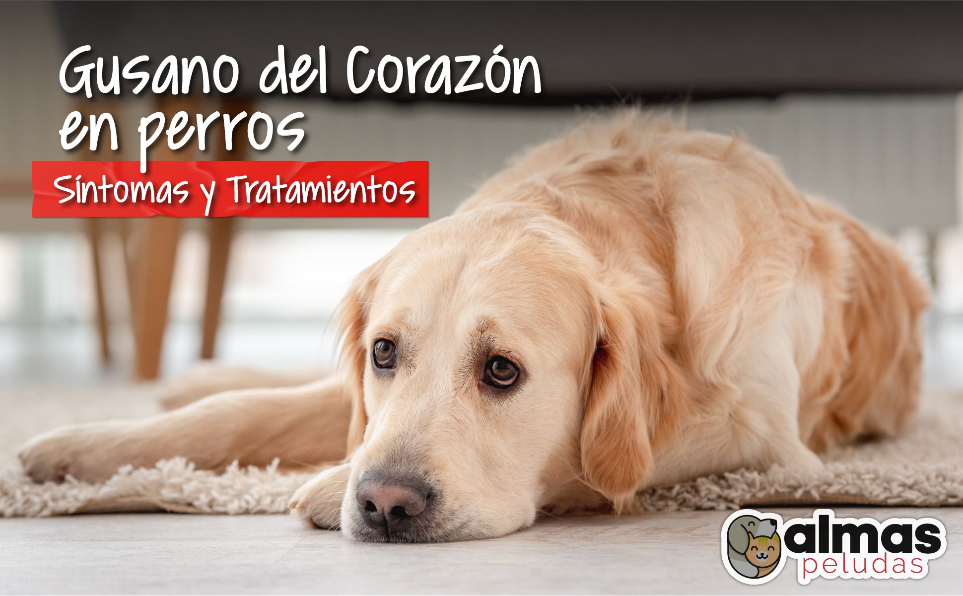 son peligrosos los gusanos en los perros