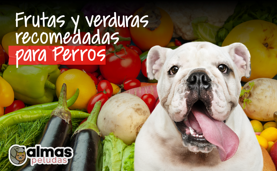 Frutas y verduras recomendadas para perros