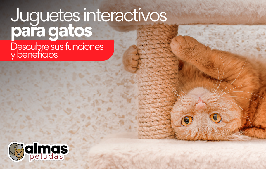 Juguetes interactivos para gatos: Descubre sus funciones y beneficios
