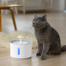 Cargar imagen en el visor de la galería, Fuente dispensadora de agua con filtro de carbón y tapete para gatos y perros
