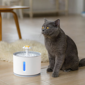 Fuente dispensadora de agua con filtro de carbón y tapete para gatos y perros
