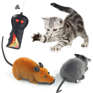 ✓ Ratón a control remoto para gatos - COMPRA – Almas