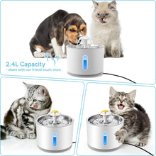 Cargar imagen en el visor de la galería, Fuente dispensadora de agua con filtro de carbón y tapete para gatos y perros
